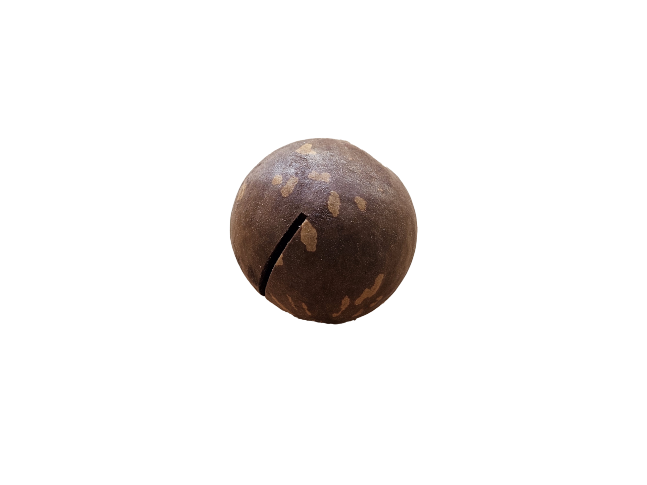 single brown macadamia nut, its surface marred by cracks. on transparent background png