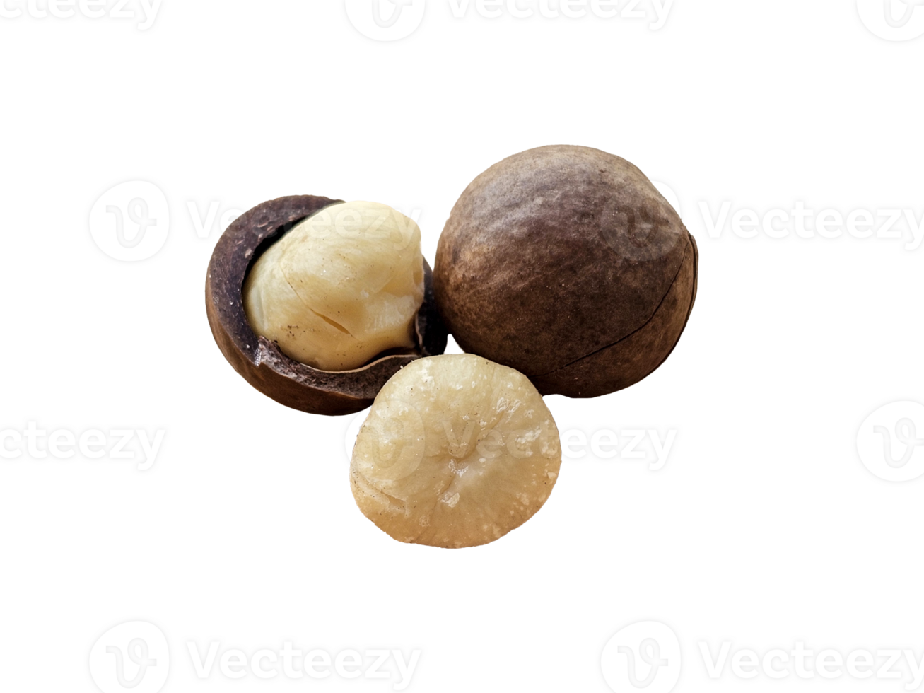 three macadamia nuts. One nut is whole, another is cracked open showing the kernel, and the third is out of its shell. on transparent background png