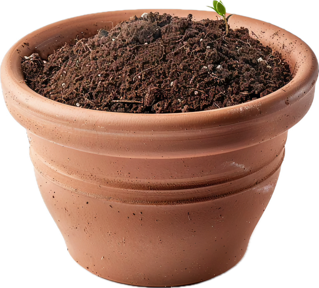 Terracotta Pot with Soil and Seedlings. png