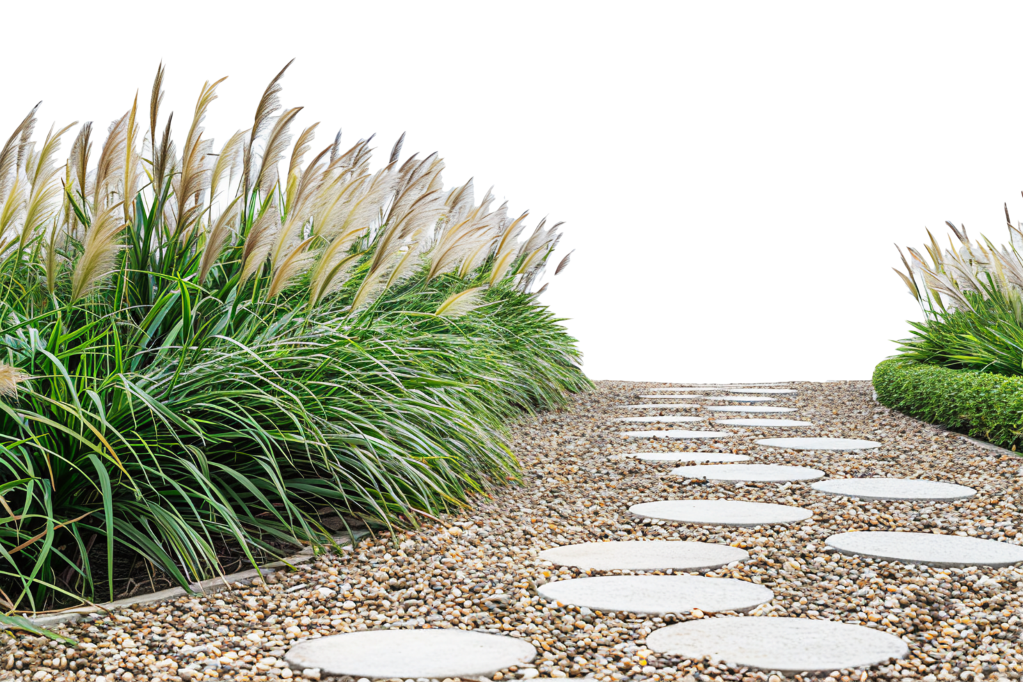Pebble Pathway with Ornamental Grass. png