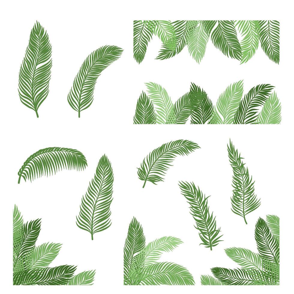 Palm Tree Leaf Set Collection vector