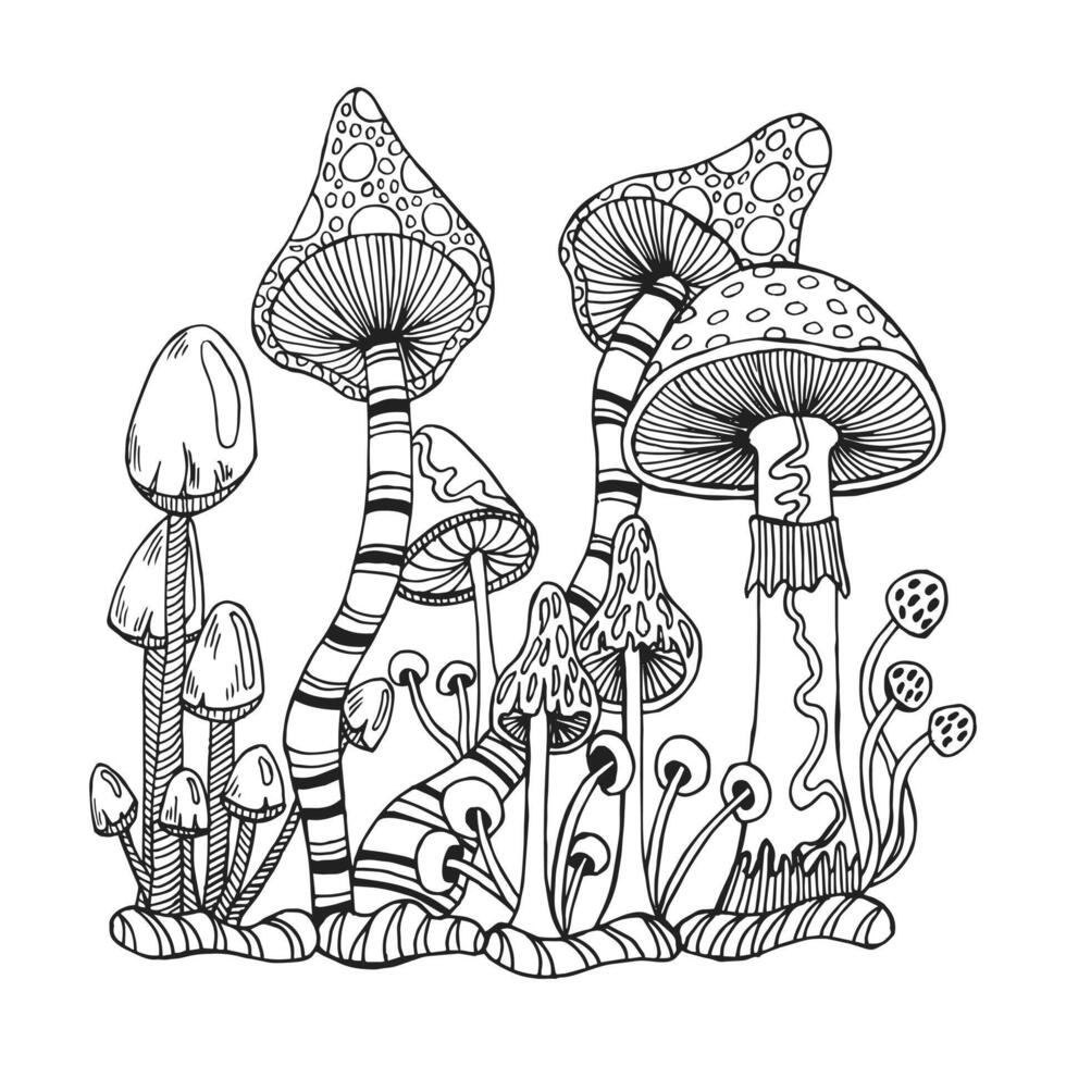 Hand drawn magic poisonous mushrooms. Illustration for coloring book, sketch vector
