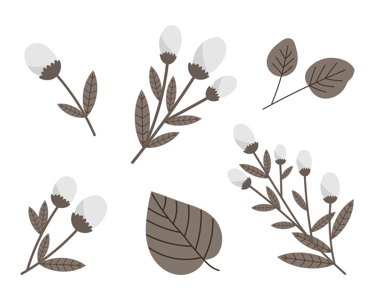 Set of cotton twigs and leaves on a white background. Decor elements vector