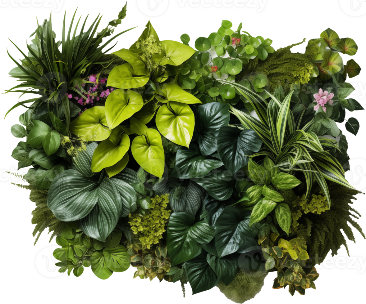Vertical green garden wall tropical plant png