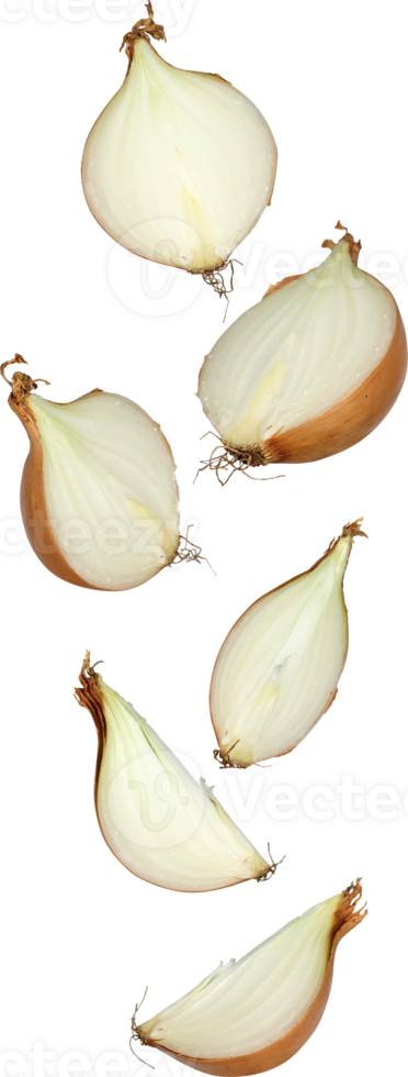 falling onion slice png