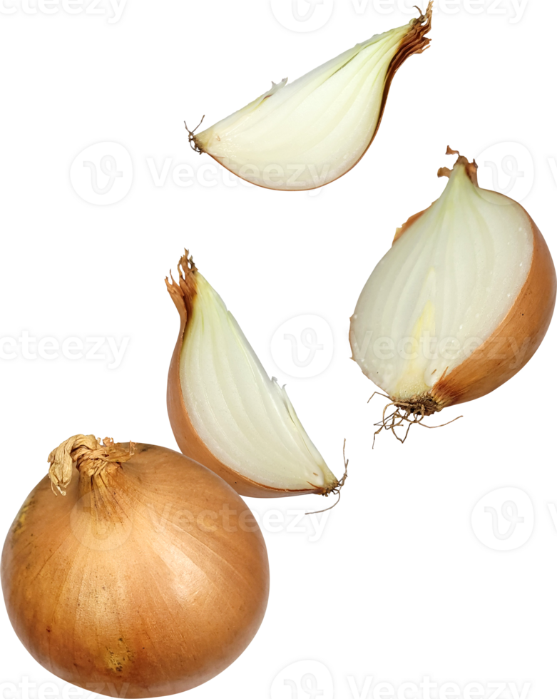 falling onion slice png