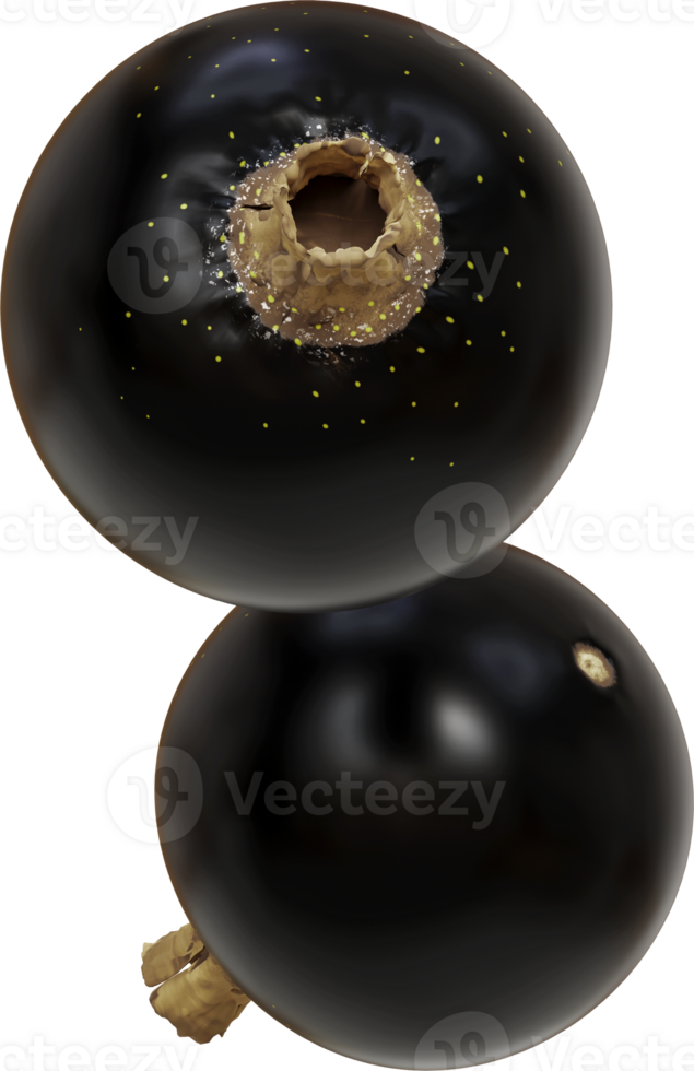 flying black currant png