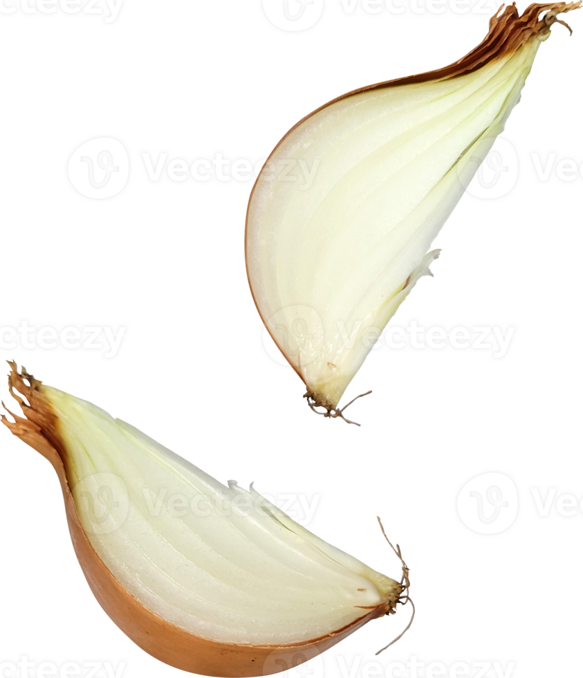 falling onion slice png