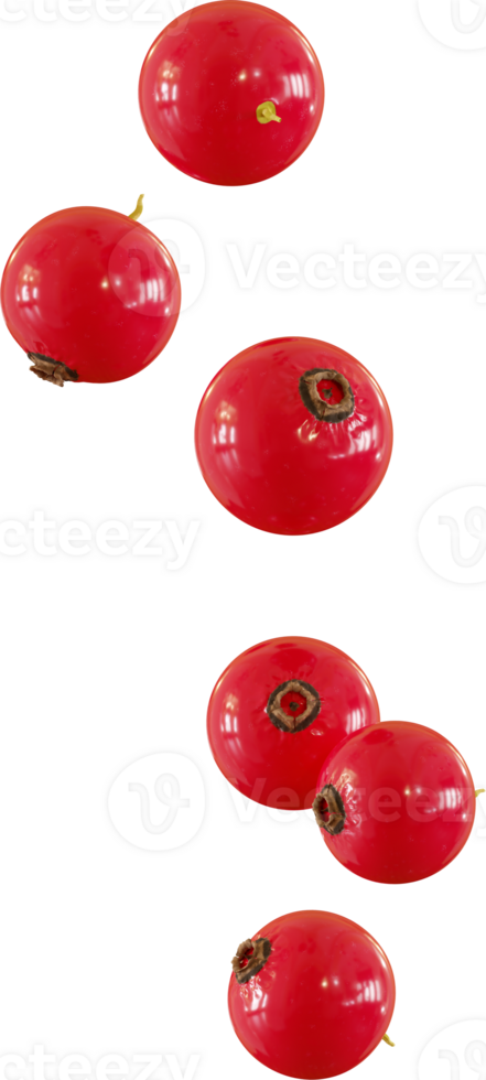 falling red currant berries png