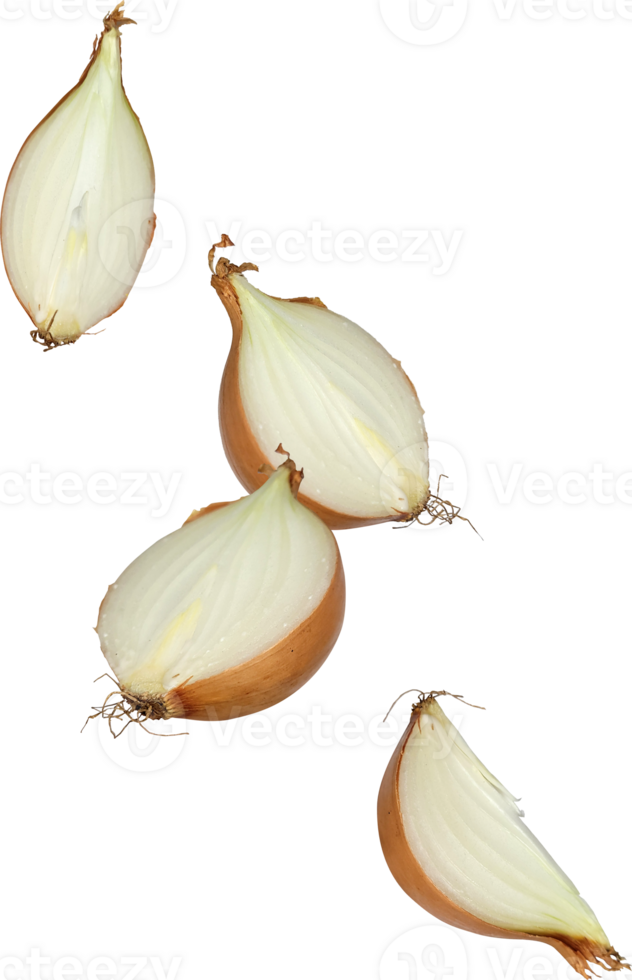 falling onion slice png