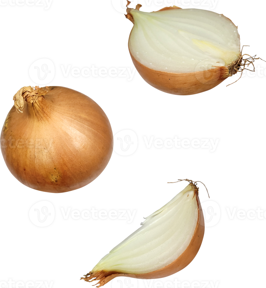 falling onion slice png