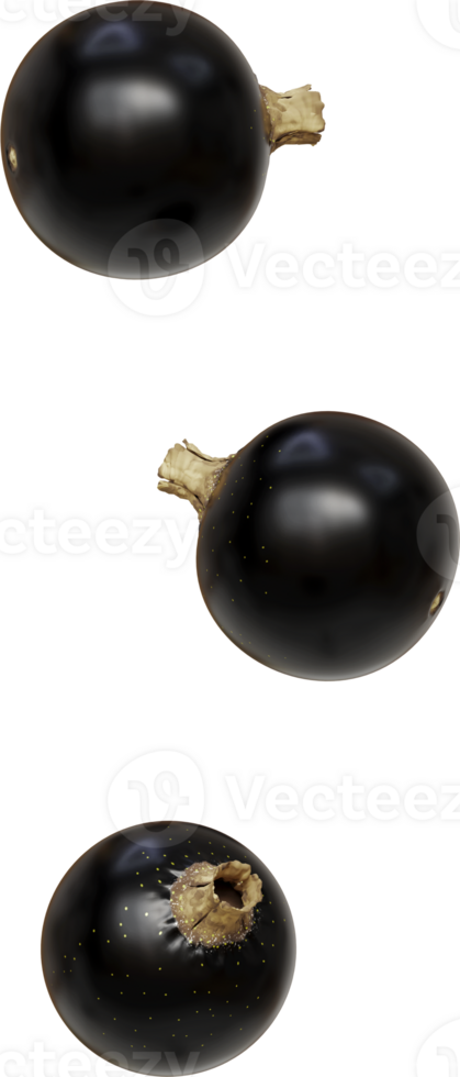 flying black currant png