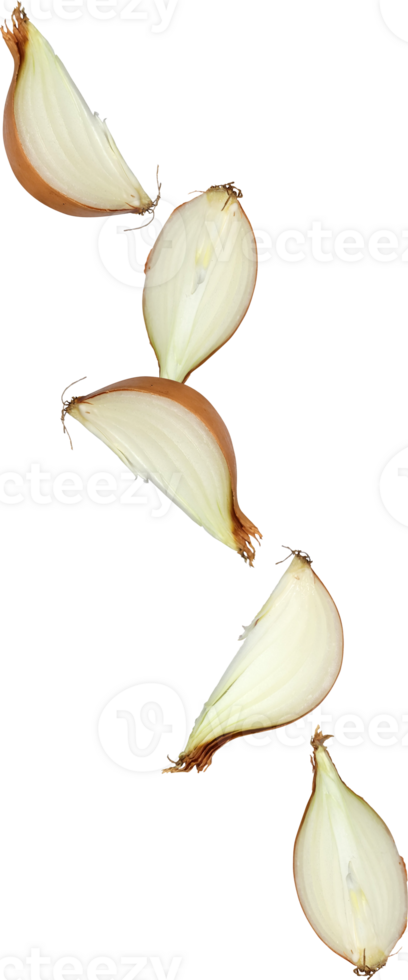 falling onion slice png