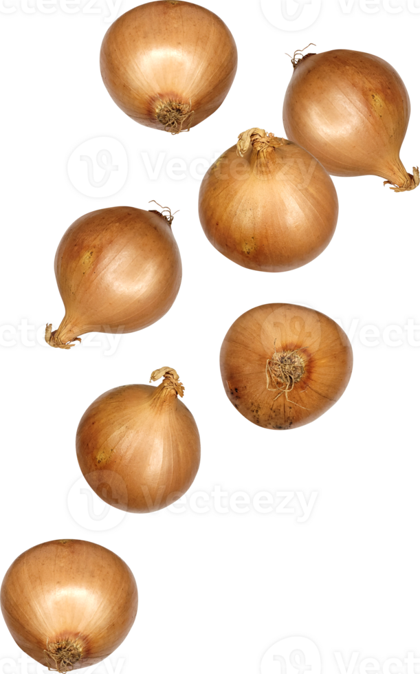 falling white onion png