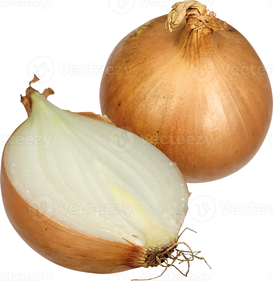 falling onion slice png
