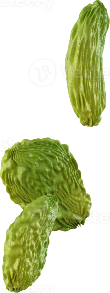 raisin a dried fruit png