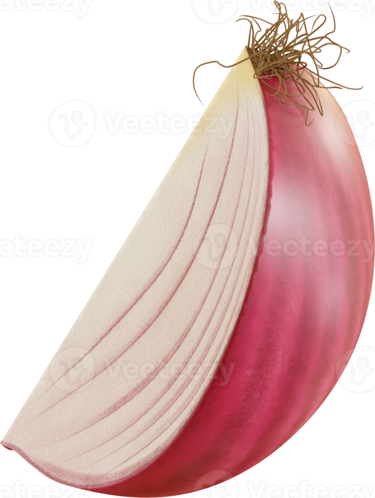quarter of red onion png