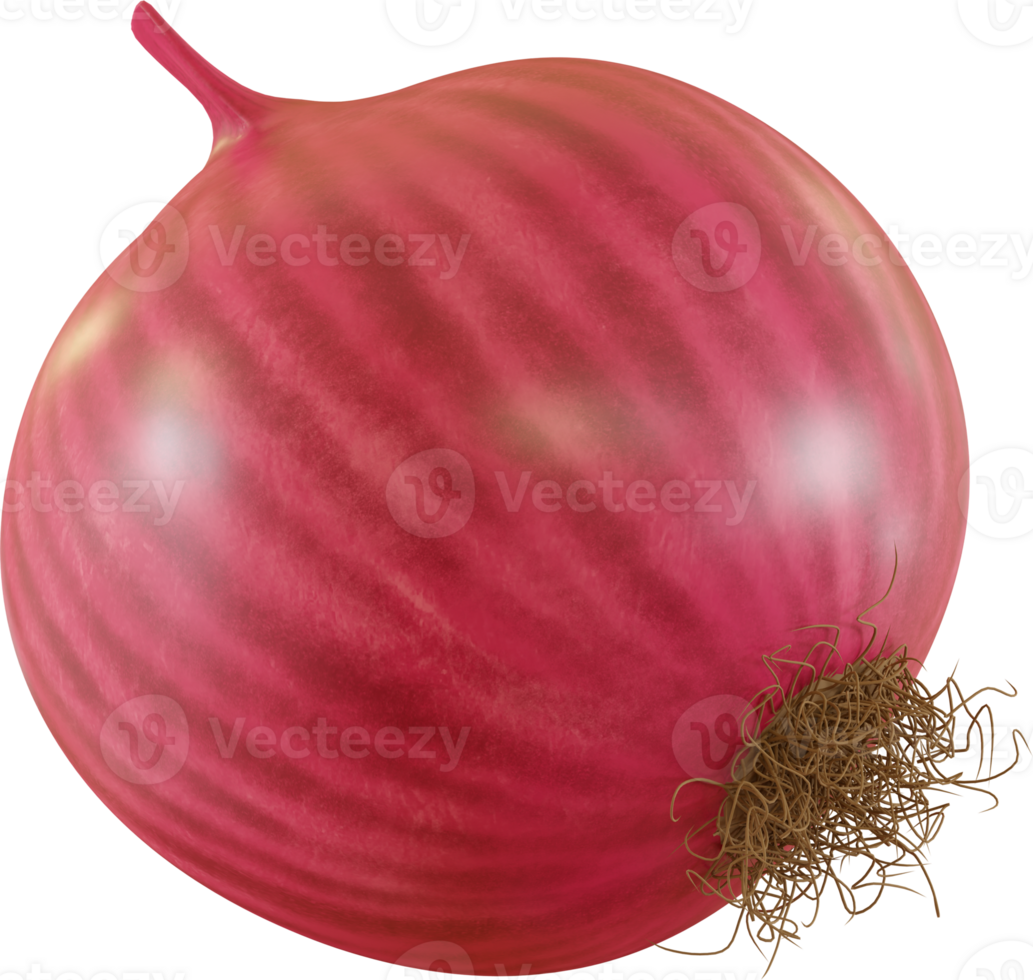 red onion close up png
