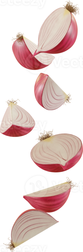 red onion slices png