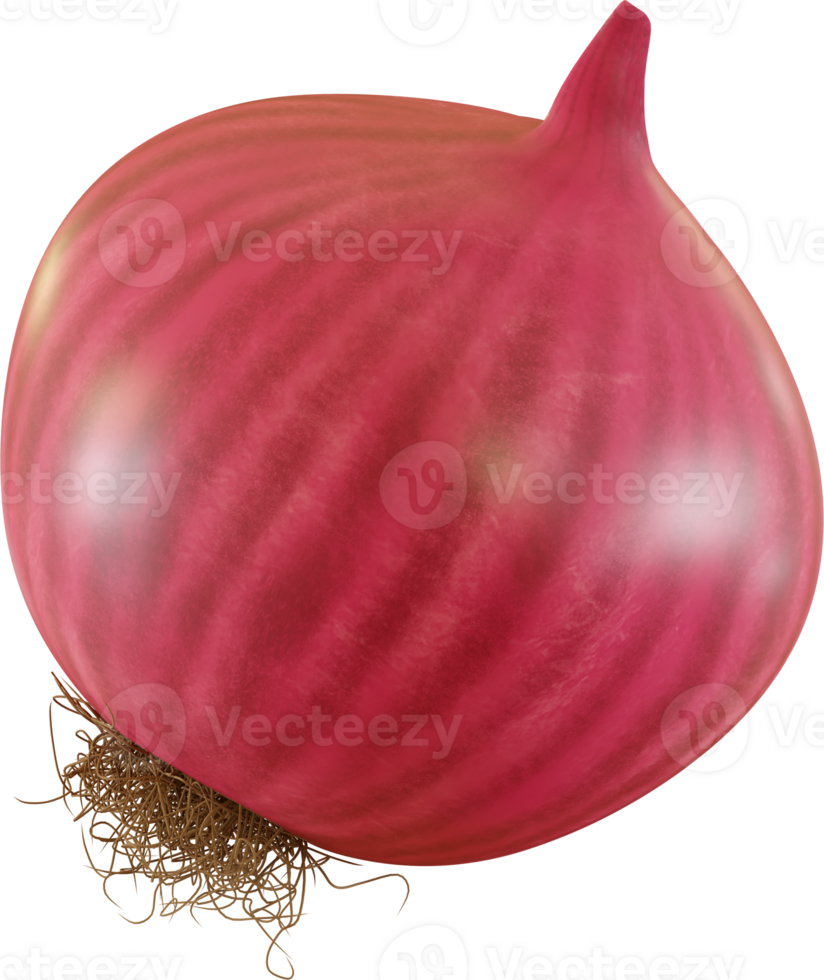 red onion close up png