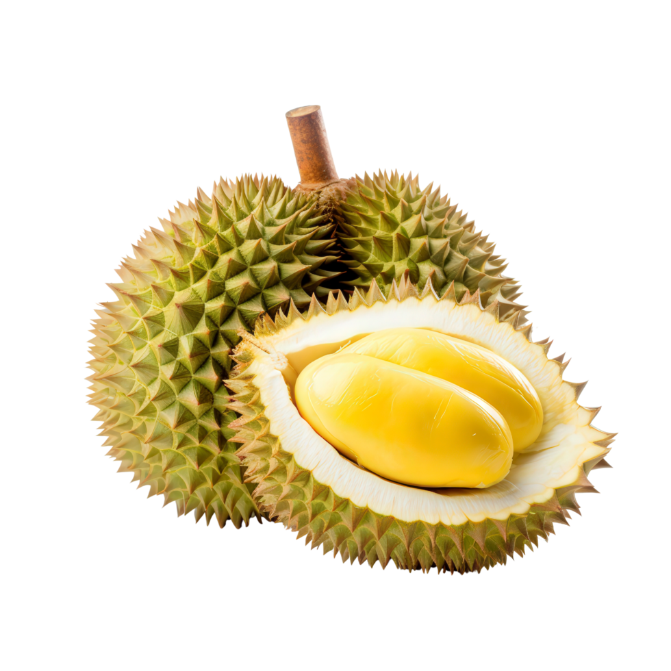 durian fruit on a transparent background png