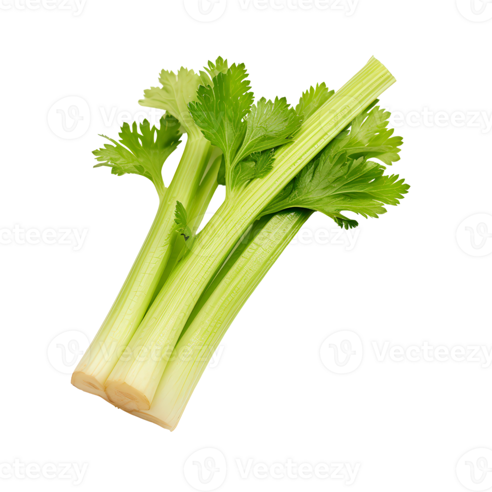 celery on a transparent background png