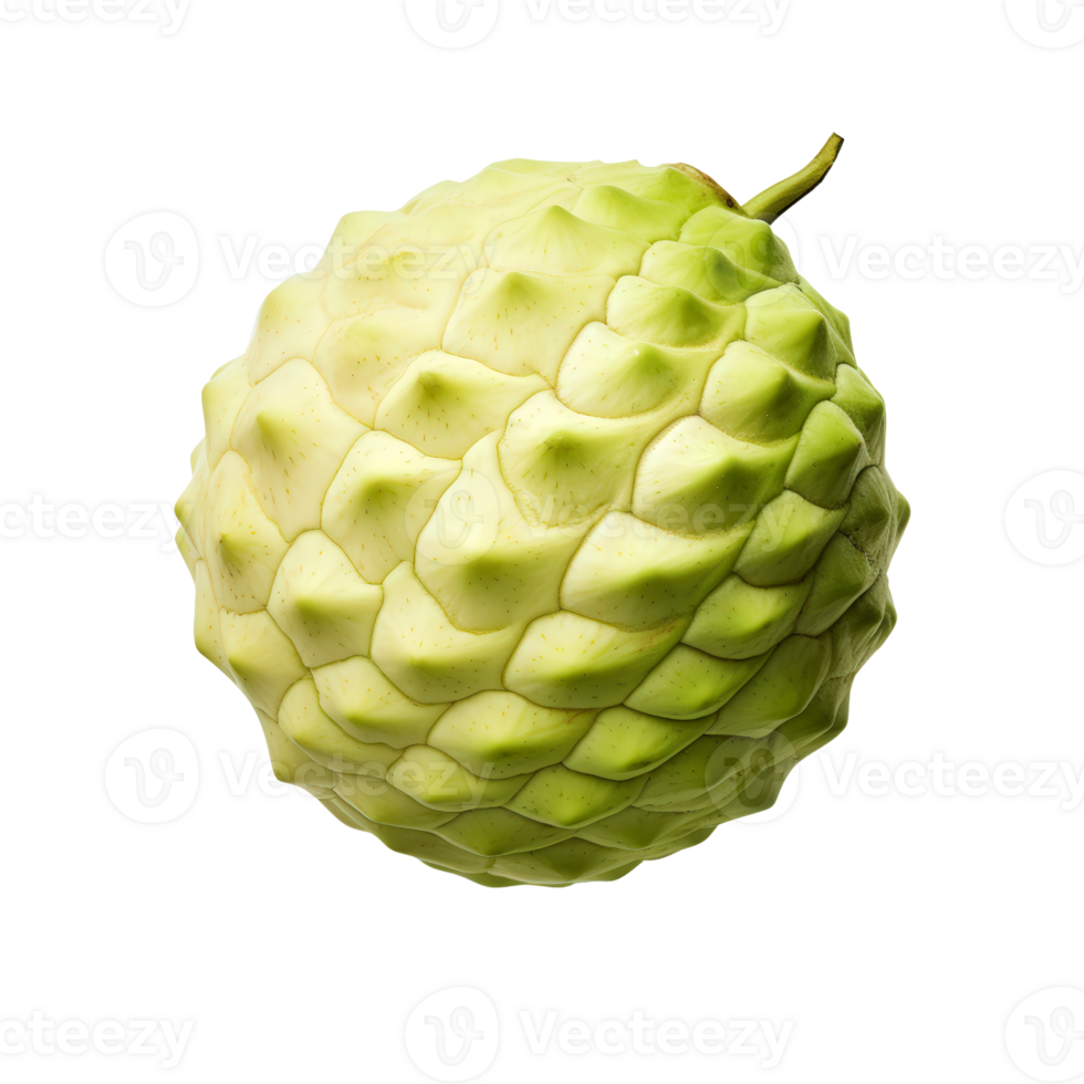 a large green fruit on a transparent background png