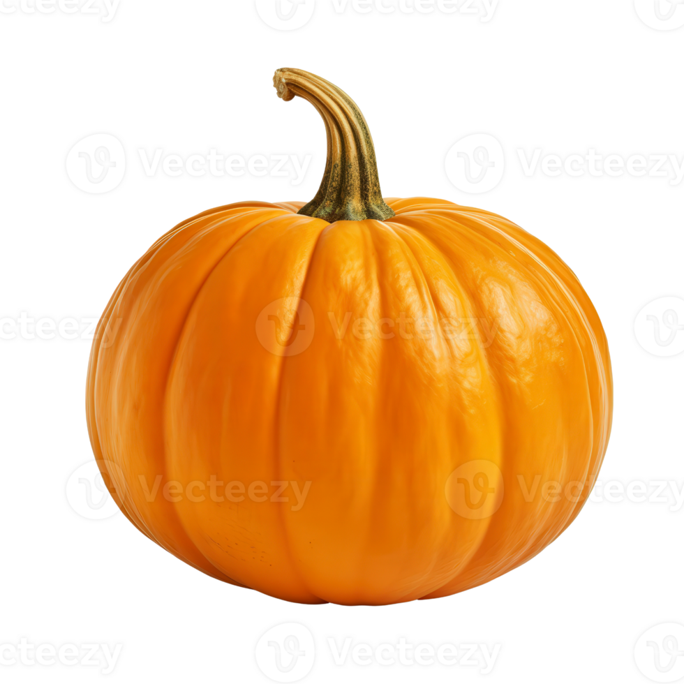 pumpkin orange pumpkin on transparent background png