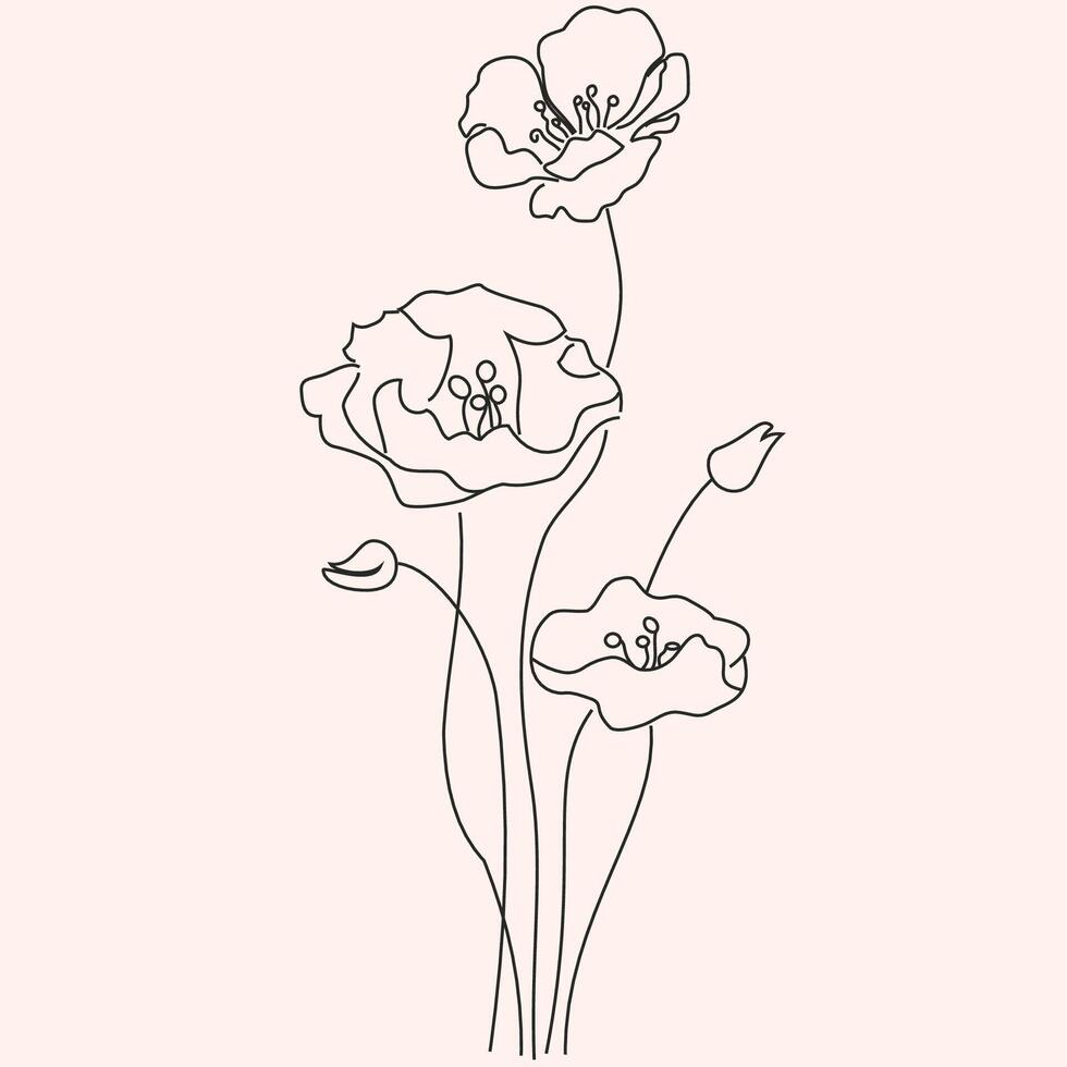 Poppy flowers. Beauty. Field Flowers. vector