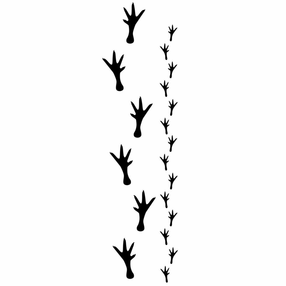 silhouette of chicken footprints on white background. Mother hen walks with her chicks. Feet pattern for wallpaper, poster, logo. vector