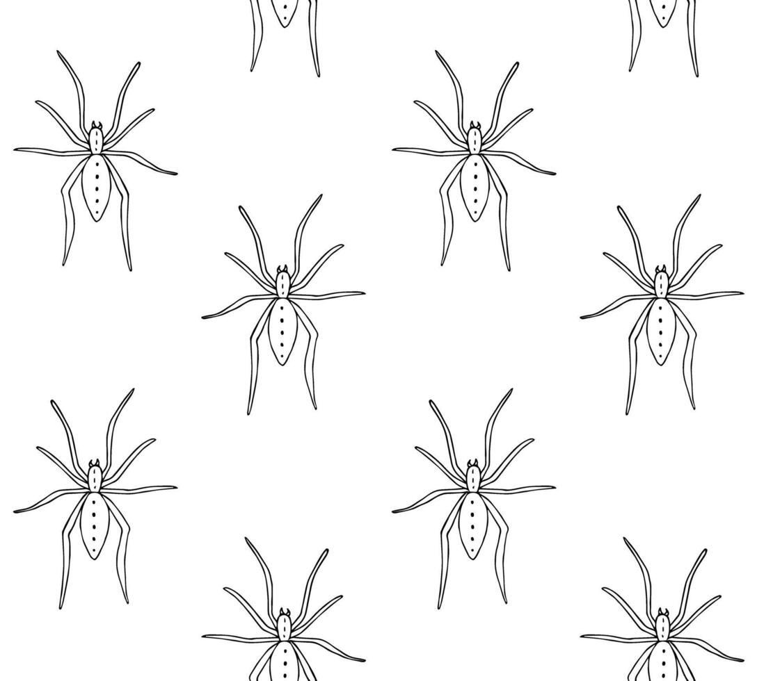 Seamless pattern of hand drawn spider vector