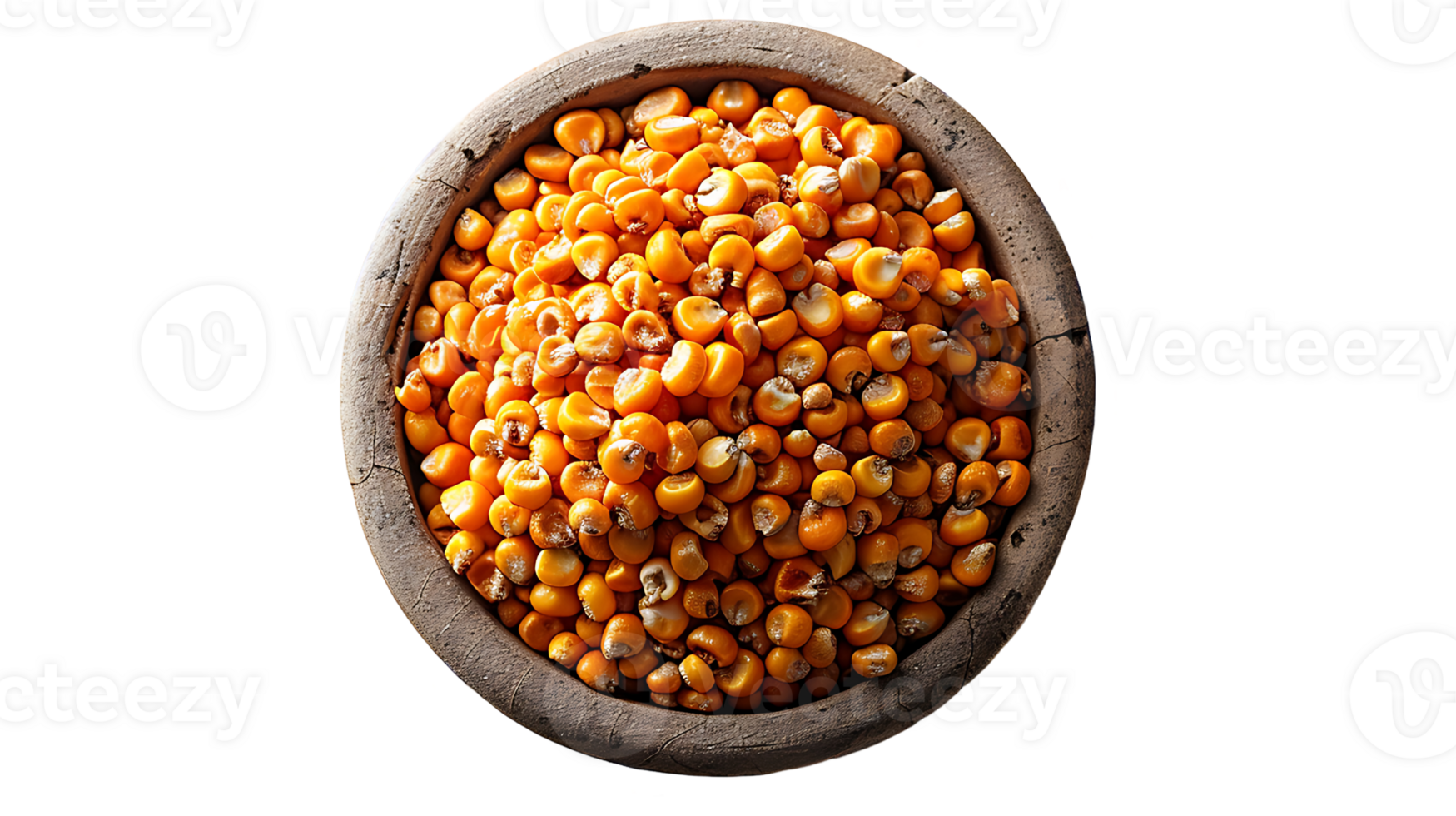Fresh tasty dried corn seeds on a transparent background png