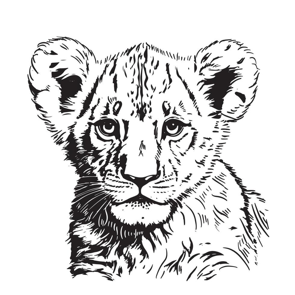 Little lion cub portrait vector