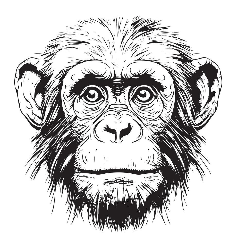 Monkey face sketch hand drawn in doodle style illustration vector
