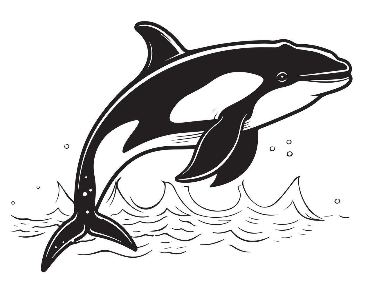 Killer whale sea animal isolated sketch. Grampus illustration. Orca or toothed whale, marine predator leaping out of water with curved tail. vector