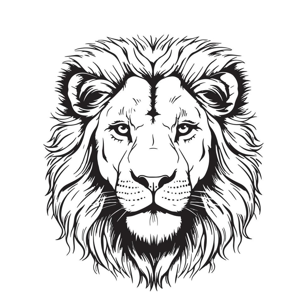 Lion. Sketchy, graphical vector