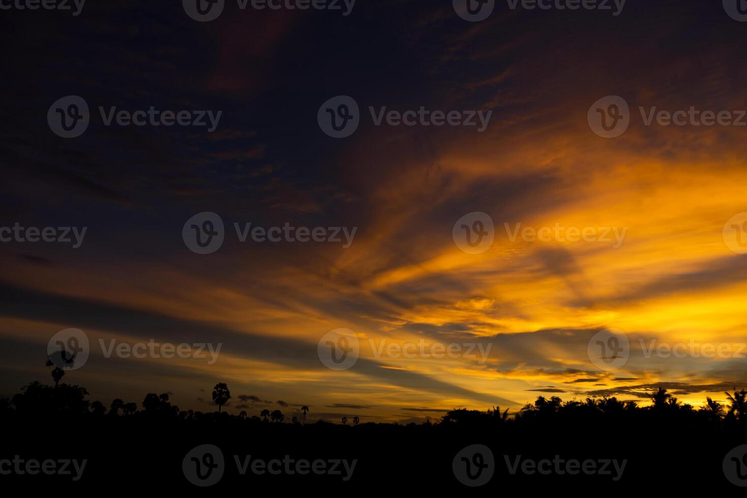 Twilight sky with multicolor cloud with silhouette forest. photo