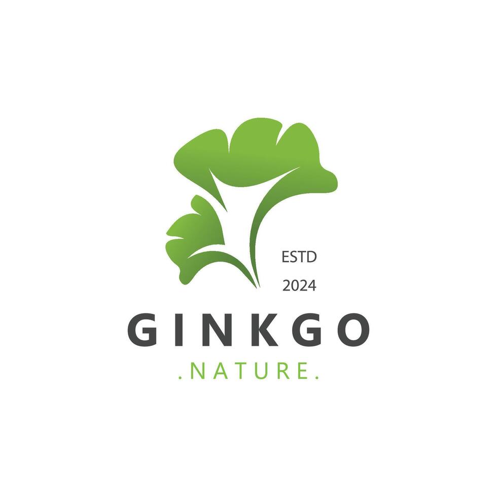 Ginkgo biloba leaf logo. use for herbal product healthy modern style logo design vector