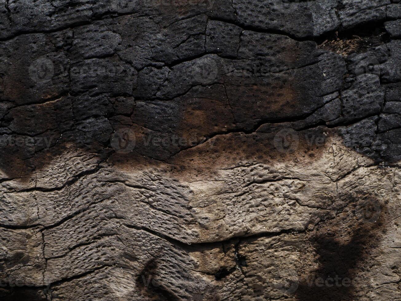Close up Surface of charcoal photo