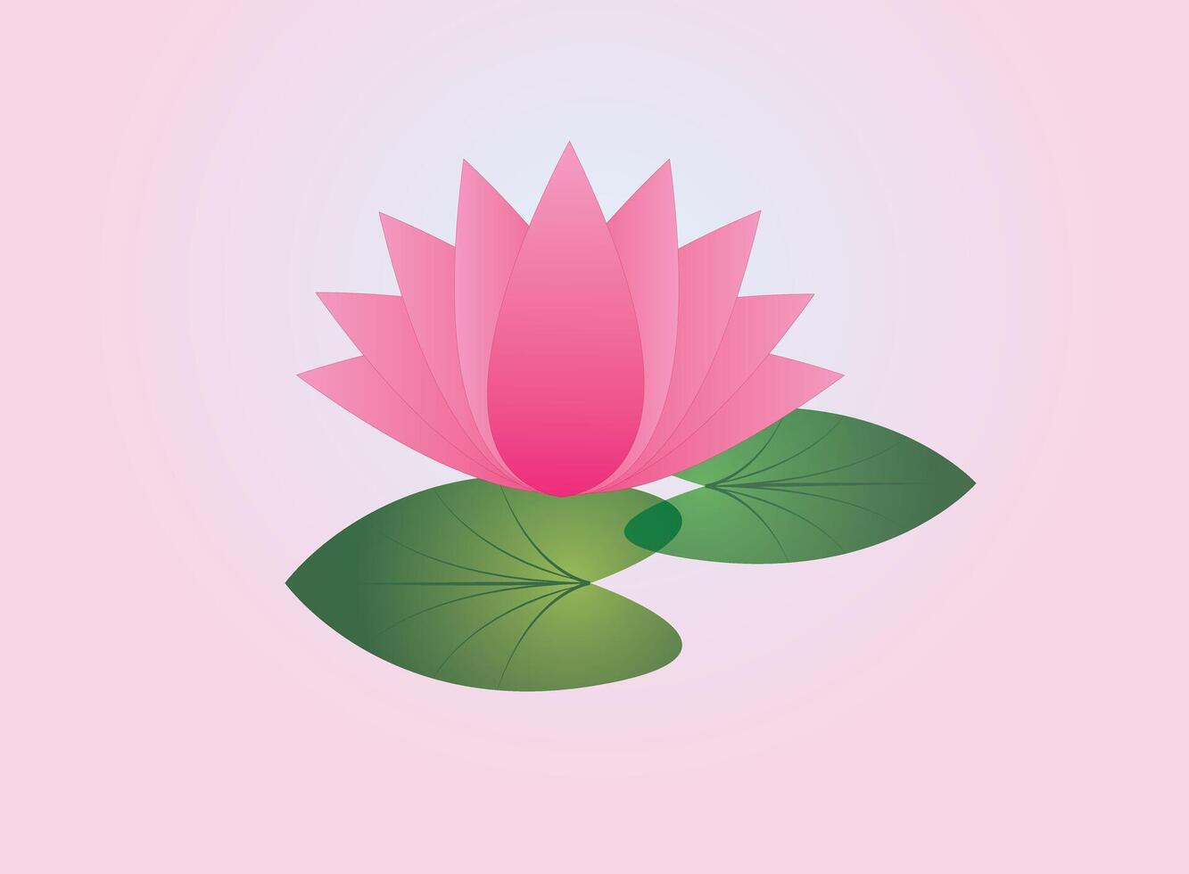 An isolated pink lotus flower with leaf in pink background vector