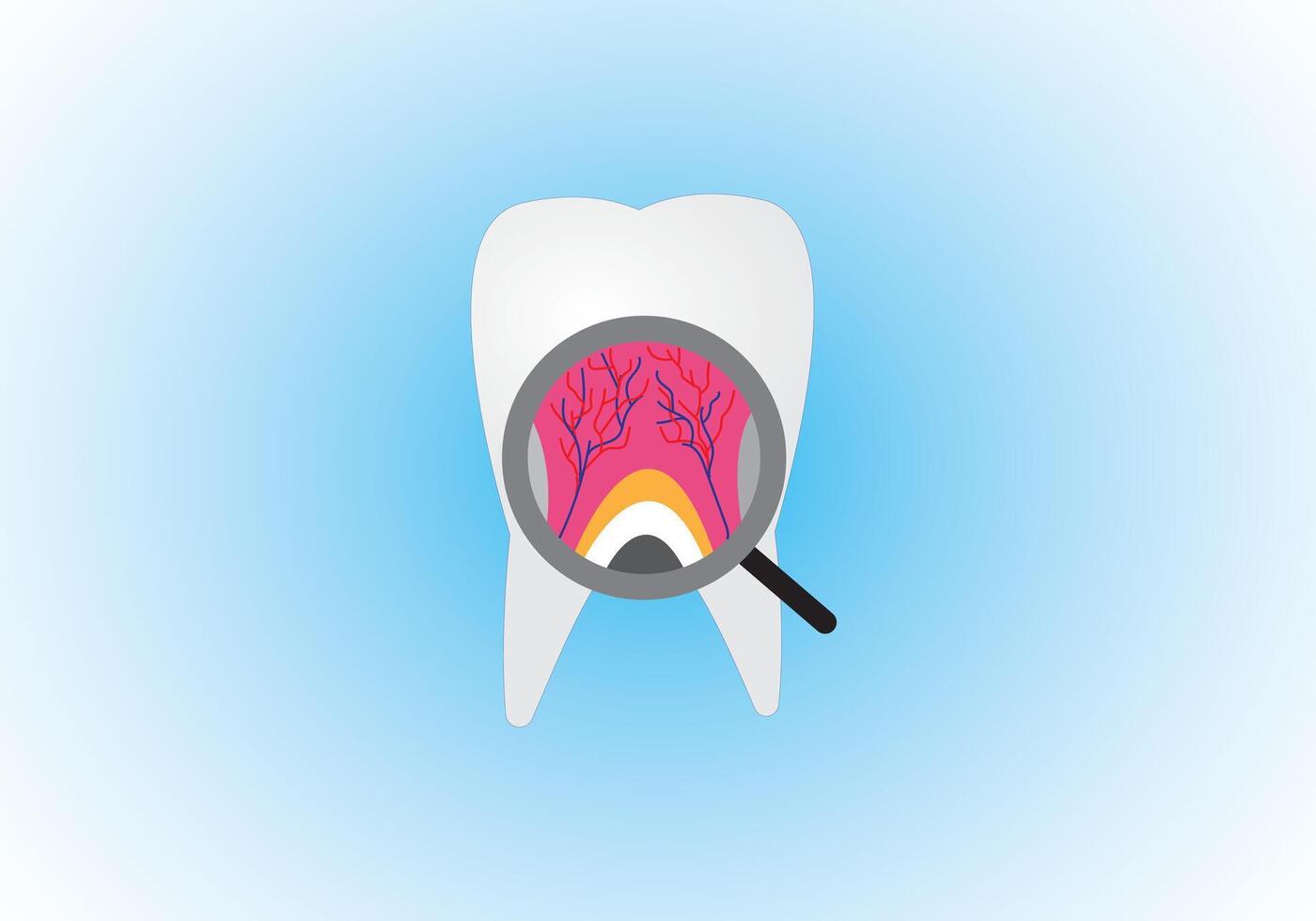 A Tooth with magnifying glass vector