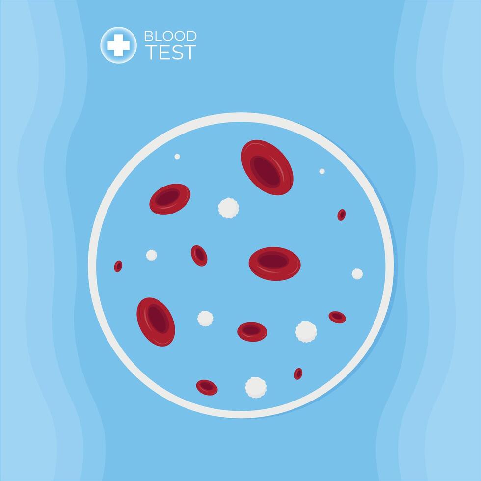 cells in a test tube. illustration of a magnifying glass with a blood. Blood test illustration. vector
