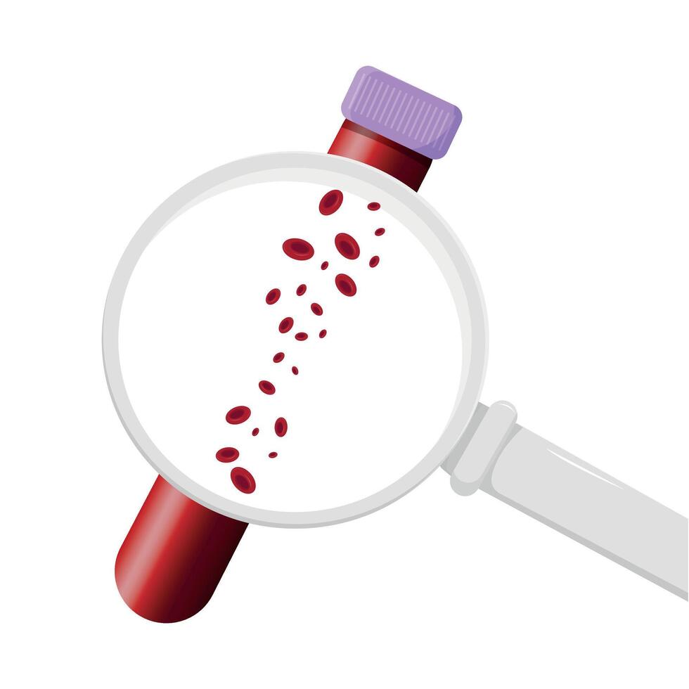 cells in a test tube. illustration of a magnifying glass with a blood. Blood test illustration. vector
