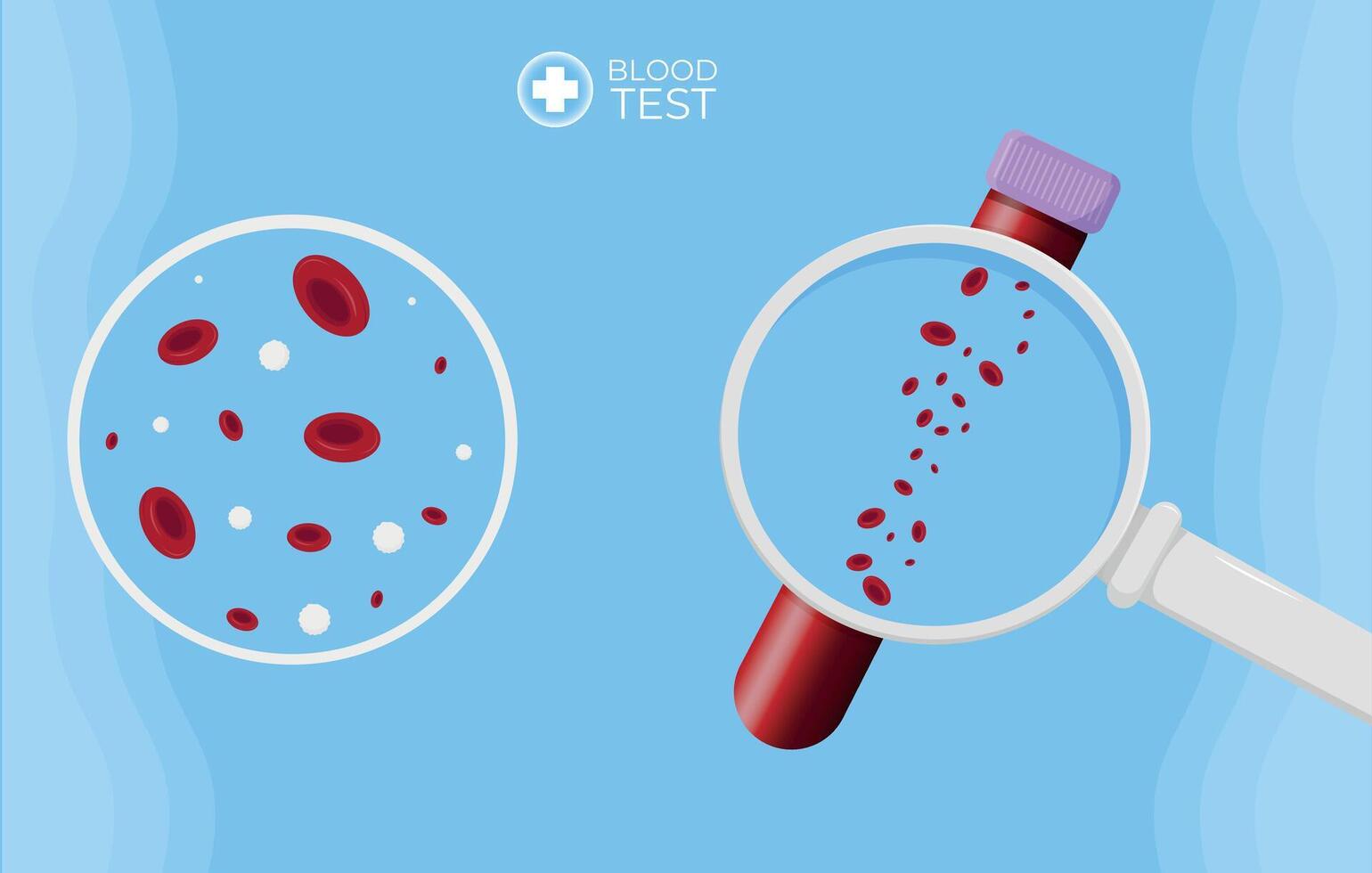 cells in a test tube. illustration of a magnifying glass with a blood. Blood test illustration. vector