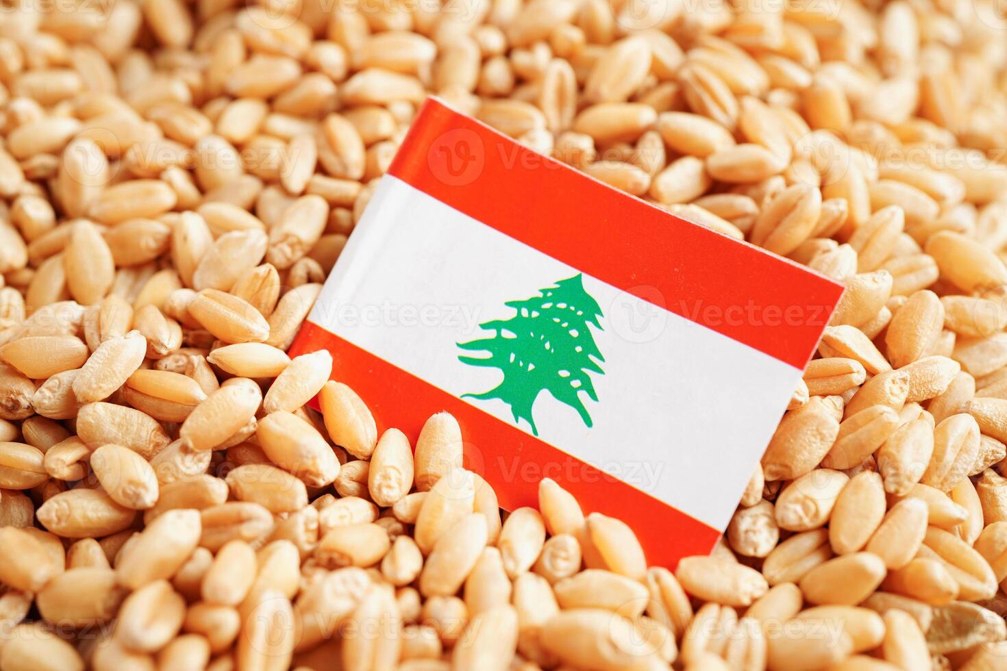Lebanon flag on grain wheat, trade export and economy concept. photo