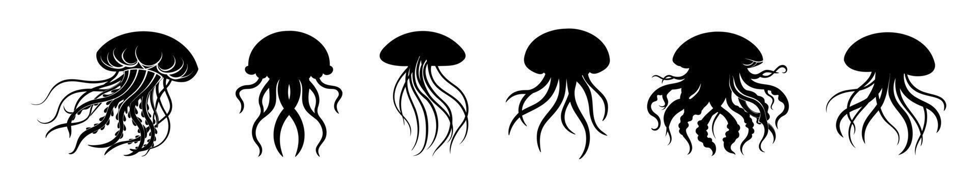 Set of Black silhouettes of Jellyfish with flowing tentacles. Oceanic medusas. Concept of ocean animal, sea creature. Graphic illustration. Print, icon, logo. Isolated on white background vector