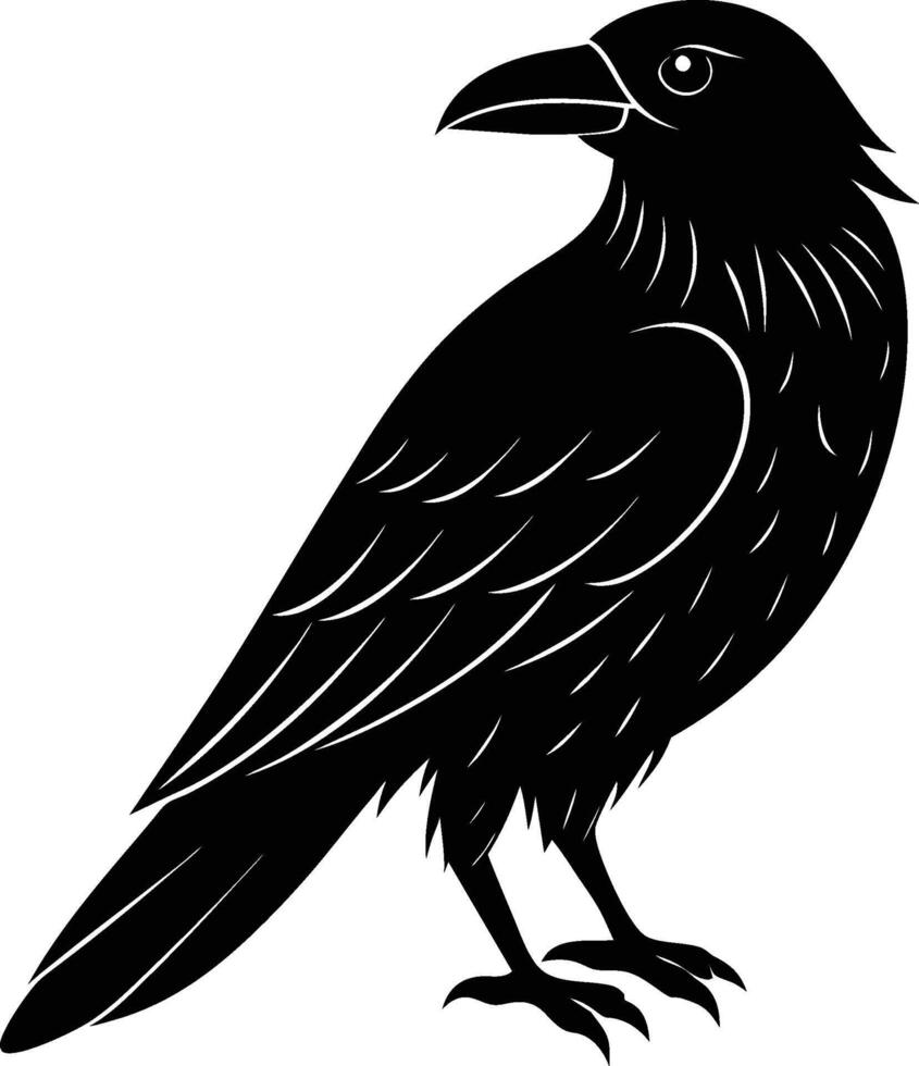 raven black and white illustration vector
