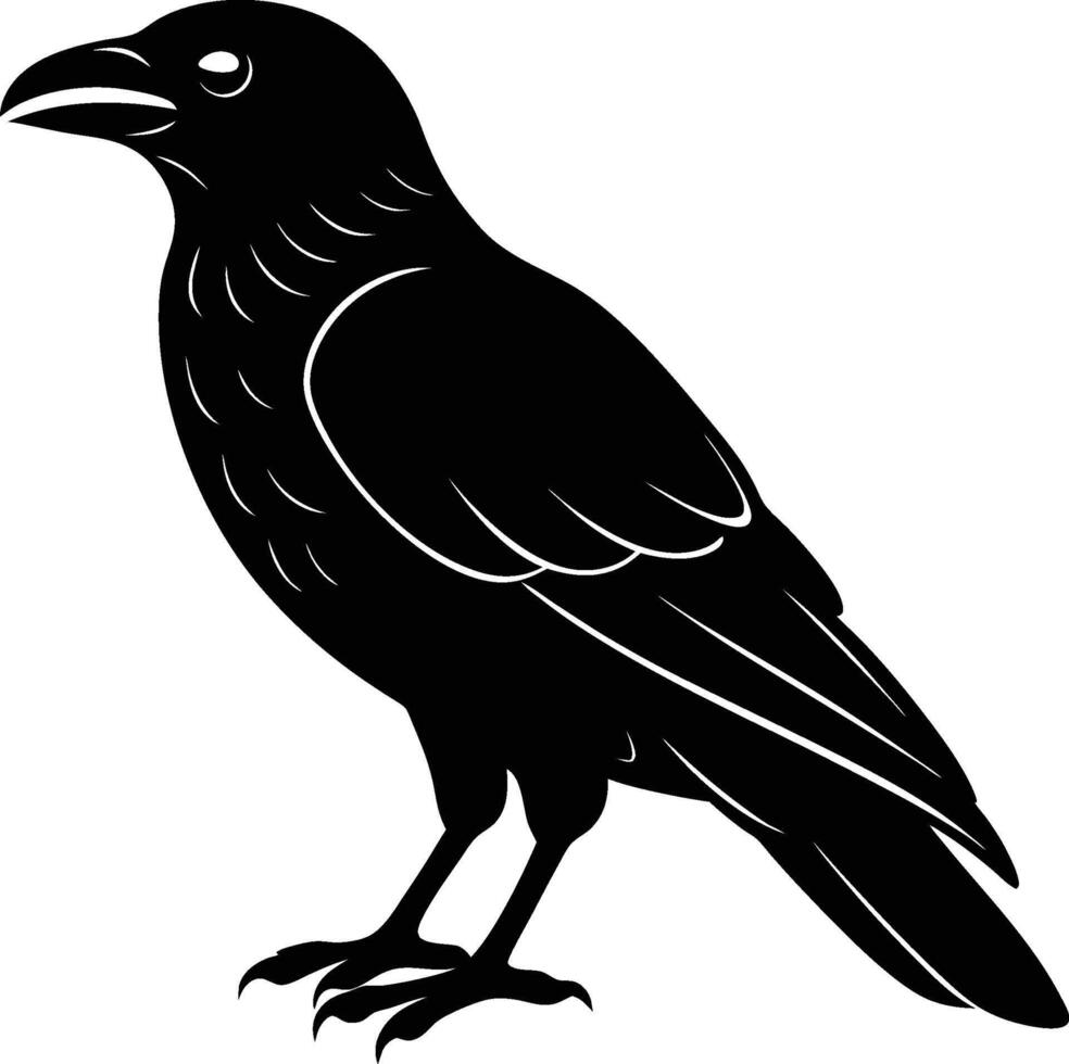 raven black and white illustration vector