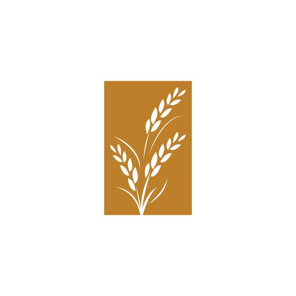 wheat logo template vector