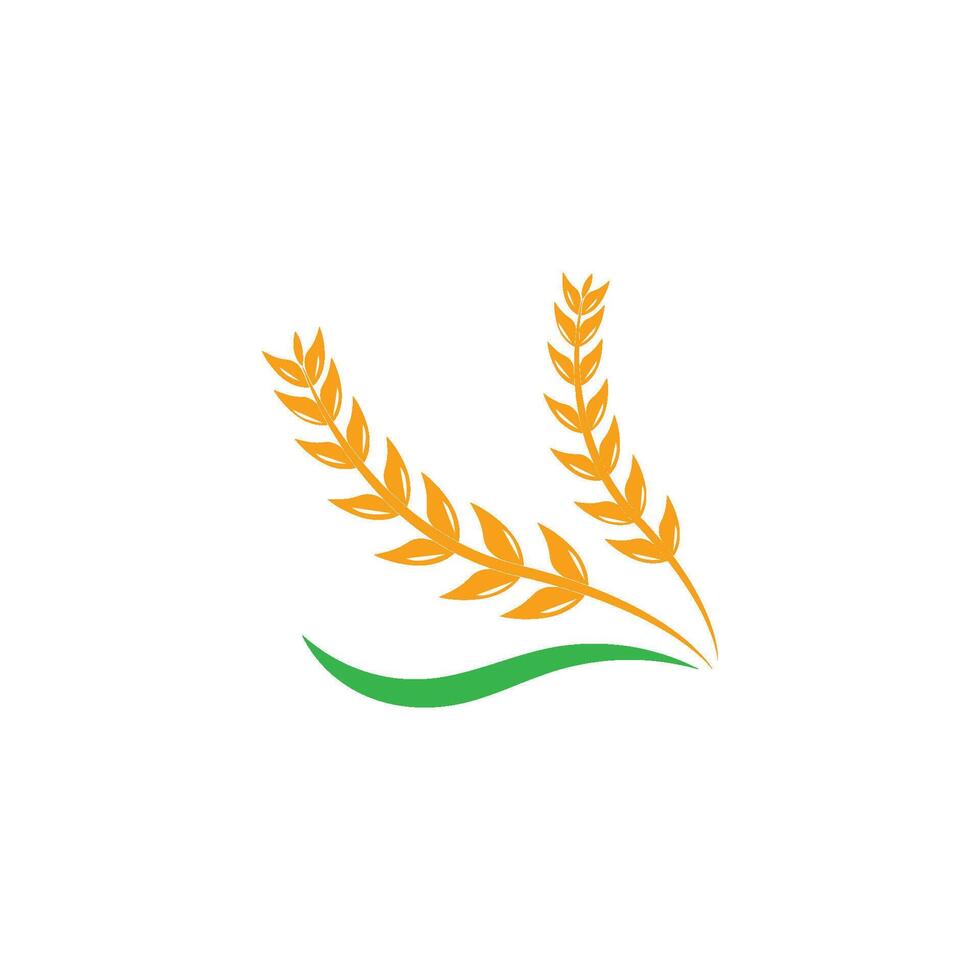 wheat logo template vector
